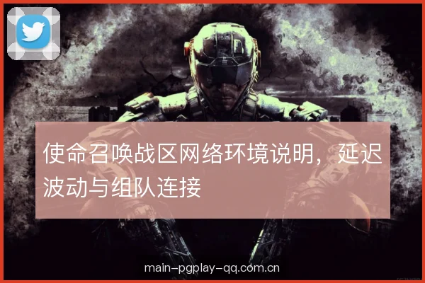 使命召唤战区网络环境说明，延迟波动与组队连接